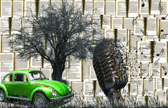 Ciahna Mazzeo 11x17 Inches