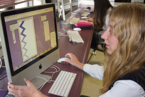 Shannon McCarthy uses Illustrator to create her design. Patterns, like the one Shannon is making are very trendy designs and many are top sellers on the Gelaskins website.