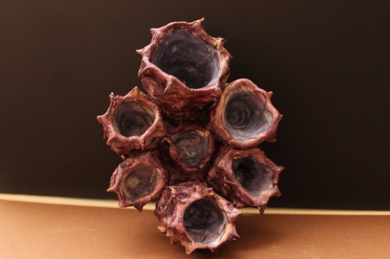 Ellen Fitzhugh GR 11