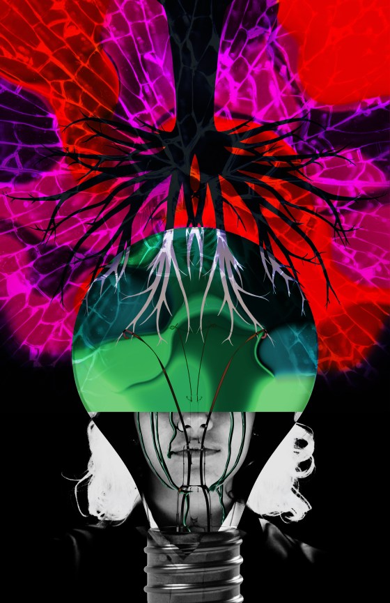 Olivia Ows Hybid Project JPEG